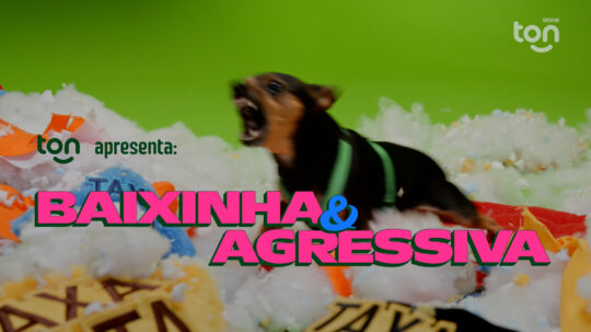 Ton - Pinscher